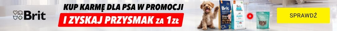 Przysmak dla psa za 1zł!