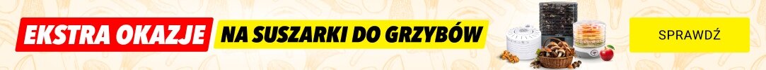 Nadszedł czas na grzybobranie!