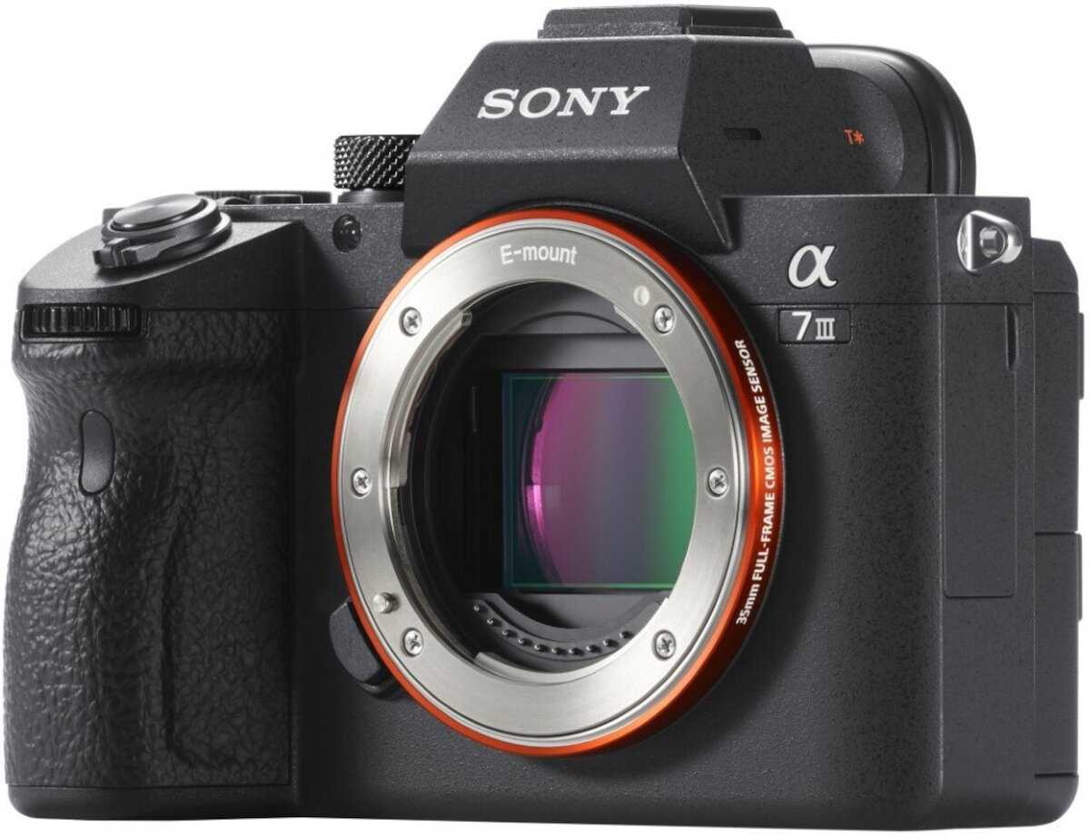 大人気 (ILCE-7M3B.CEC) III A7 Alpha SONY Body Frame Full Czarny, デジタルカメラ