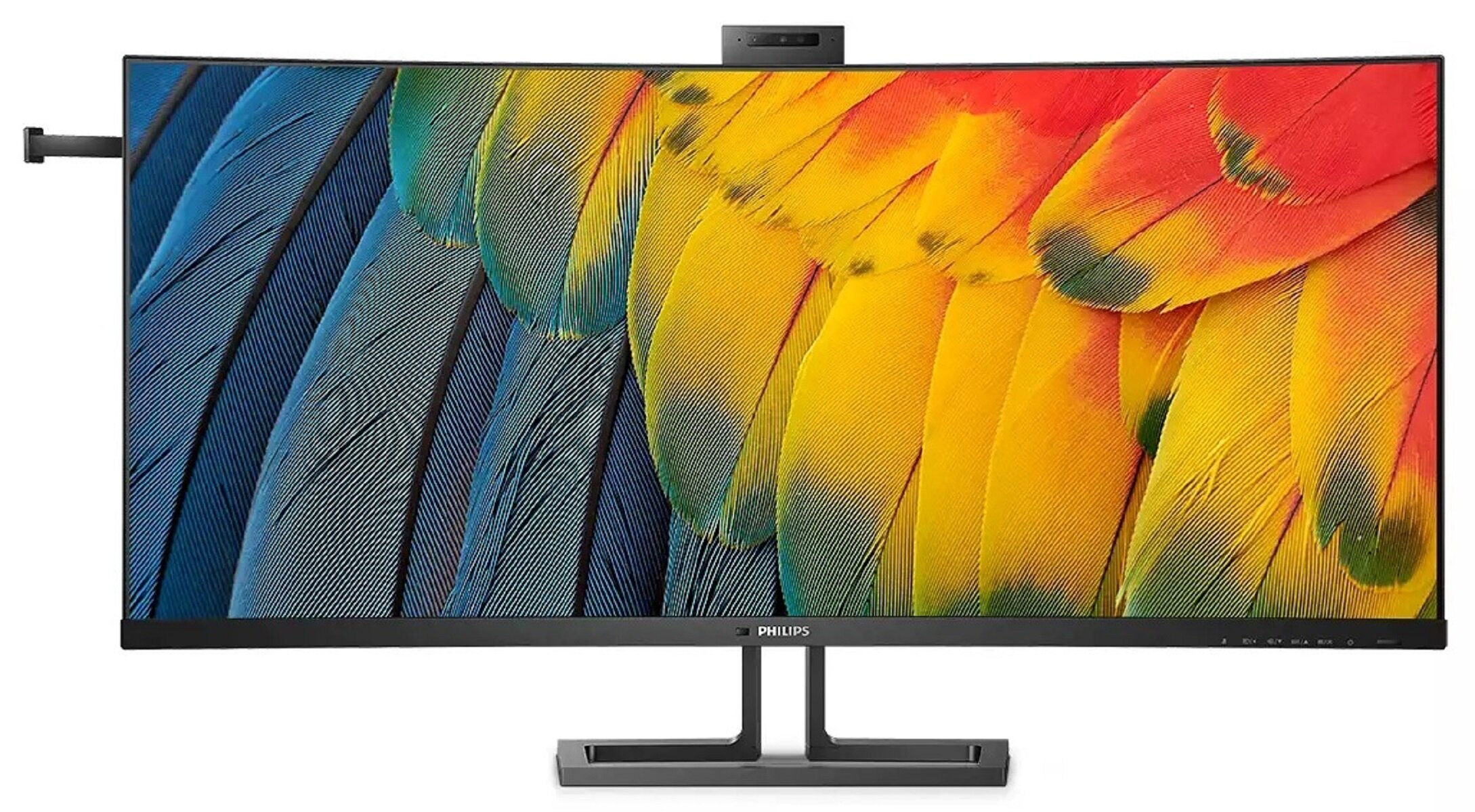 PHILIPS 4K 40インチ モニター Amazon.co.jp: Philips BDM4065UC 39.56