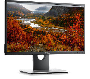 DELL P2217H 21.5