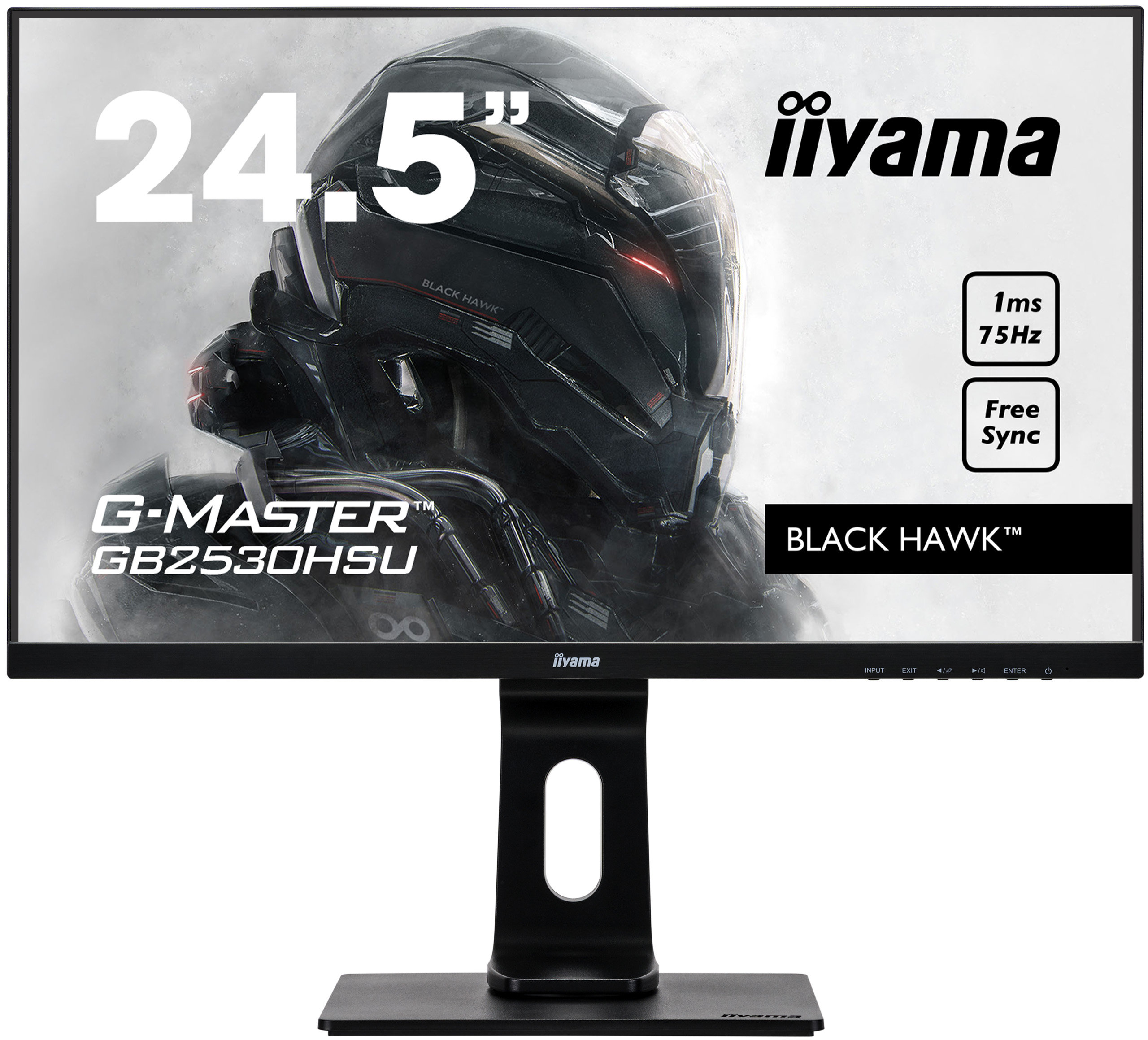 IIYAMA G-Master GB2530HSU Black Hawk 24.5
