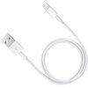 Kabel USB - Lightning APPLE 0.5 m Typ USB - Lightning