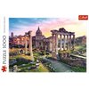 Puzzle TREFL Premium Quality: Forum Romanum 10443 (1000 elementów) Seria Premium Quality