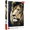 Pudełko puzzli przedstawia portret lwa z bliska, z widocznymi szczegółami jego grzywy i oczu. Na opakowaniu znajduje się logo "Trefl" oraz napis "Puzzle 1500 Premium Quality".