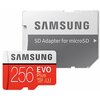 Karta pamięci SAMSUNG MicroSD Evo Plus 256 GB Adapter w zestawie Tak