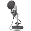 Mikrofon TRUST GXT 252 Emita