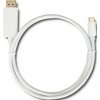 Kabel DisplayPort - USB Typ C QOLTEC 50412 1 m Inne Dwa męskie złącza