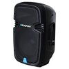 Power audio BLAUPUNKT PA10 Mikrofon Karaoke Radio FM