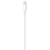 Kabel USB-C - Lightning APPLE 1 m Gwarancja 24 miesiące
