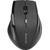 Mysz DEFENDER Accura MM-365 Czarny Rozdzielczość 1600 dpi