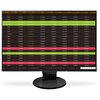 Monitor EIZO FlexScan EV2456-BK 24.1" 1920x1200px IPS