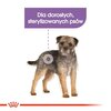 Karma dla psa ROYAL CANIN Mini Sterilised 8 kg Cechy Pomaga utrzymać optymalną masę ciała