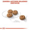 Karma dla psa ROYAL CANIN Mini Sterilised 8 kg Smak Mięsny