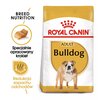Karma dla psa ROYAL CANIN Bulldog Adult 12 kg Opakowanie Torebka