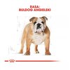 Karma dla psa ROYAL CANIN Bulldog Adult 12 kg Opakowanie Torebka