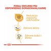 Karma dla psa ROYAL CANIN Bulldog Adult 12 kg Cechy Poprawia trawienie