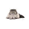 Karma dla kota ROYAL CANIN Persian Adult Kurczak 4 kg Waga 4 kg