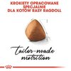Karma dla kota ROYAL CANIN Ragdoll Adult Kurczak 2 kg Etap życia Dorosły