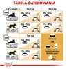 Karma dla kota ROYAL CANIN British Shorthair 4 kg Typ Sucha