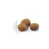 Karma dla kota ROYAL CANIN FHN Sterilised 7+ 1.5 kg Typ Sucha
