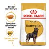 Karma dla psa ROYAL CANIN Rottweiler Adult 12 kg Typ Sucha
