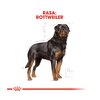 Karma dla psa ROYAL CANIN Rottweiler Adult 12 kg Opakowanie Torebka