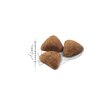 Karma dla kota ROYAL CANIN FHN Indoor 4 kg Typ Sucha
