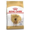 Karma dla psa ROYAL CANIN BHN Great Dane 12 kg