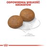 Karma dla psa ROYAL CANIN SHN Maxi Puppy Drób 15 kg Smak Drób