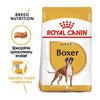 Karma dla psa ROYAL CANIN Boxer Adult 12 kg Typ Sucha