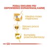 Karma dla psa ROYAL CANIN Boxer Adult 12 kg Cechy Pełnoporcjowa