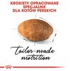 Karma dla kota ROYAL CANIN Persian Adult Kurczak 10 kg Smak Kurczak