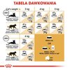 Karma dla kota ROYAL CANIN Persian Adult Kurczak 10 kg Etap życia Dorosły