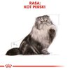 Karma dla kota ROYAL CANIN Persian Adult Kurczak 10 kg Typ Sucha