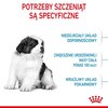 Karma dla psa ROYAL CANIN Giant Puppy 15 kg Typ Sucha