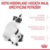 Karma dla kota ROYAL CANIN Mother & BabyCat 4 kg Opakowanie Folia