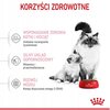 Karma dla kota ROYAL CANIN Mother & BabyCat 4 kg Waga 4 kg
