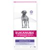 Karma dla psa EUKANUBA Veterinary Diets Dermatosis FP Adult Fish & Potato 12 kg Typ Sucha