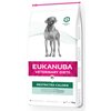 Karma dla psa EUKANUBA Veterinary Diets Restricted Calorie Kurczak 12 kg Typ Sucha