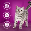 Karma dla kota WHISKAS Sterile Kurczak 14 kg Rasa Wszystkie