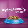 Karma dla kota WHISKAS Tuńczyk z warzywami 14 kg Etap życia Dorosły