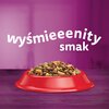 Karma dla kota WHISKAS Wołowina 14 kg Etap życia Dorosły
