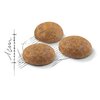 Karma dla kota ROYAL CANIN FHN Outdoor Drób 2 kg Typ Sucha