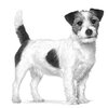 Karma dla psa ROYAL CANIN Satiety Weight Management Small Dog 3kg Smak Drób