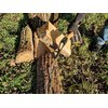 Siekiera uniwersalna YATO YT-8003 1 kg Materiał trzonka Drewno