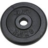 Zestaw hantli ENERO FIT (2 x 9.5 kg) Funkcja sztangi Nie