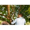 Sekator ręczny GARDENA Premium 700 B 8710-20 Załączona dokumentacja Karta gwarancyjna