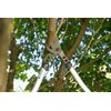 Sekator ręczny GARDENA Premium 700 B 8710-20 Przeznaczenie Do cięcia gałęzi