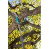 Piła ogrodowa GARDENA 300 PP 8737-20 Załączona dokumentacja Karta gwarancyjna